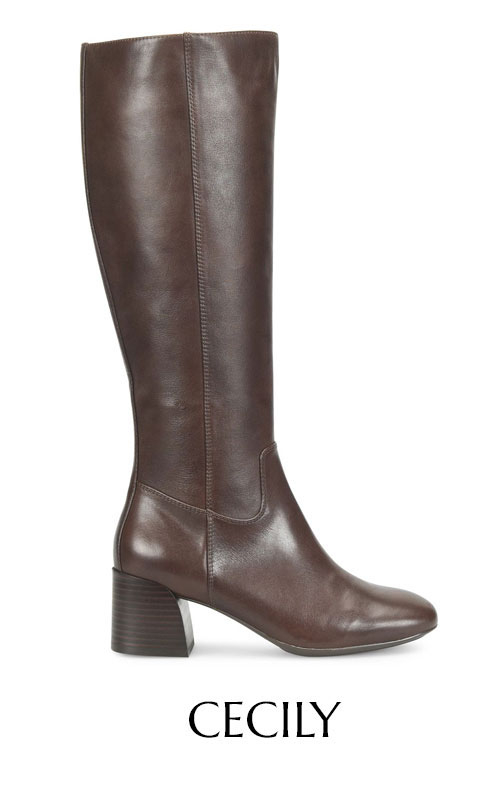 Featuring the Cecily heeled tall boot in brown.